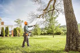 Lawn Watering Services in Colby, WI